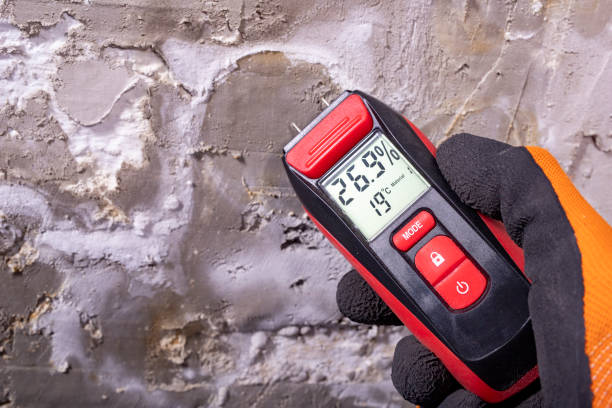Best Office Mold Removal Services  in Forestville, OH