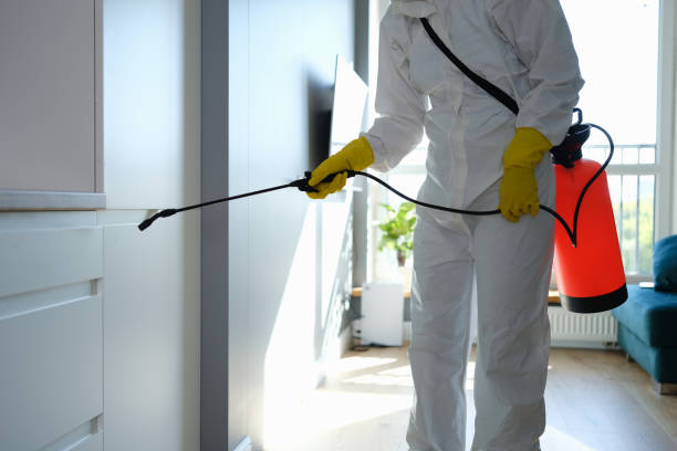 Best Mold Removal Near Me  in Forestville, OH